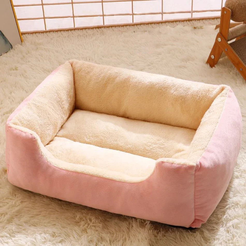 Bed for Cat