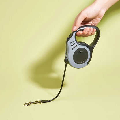 Holapet Leash