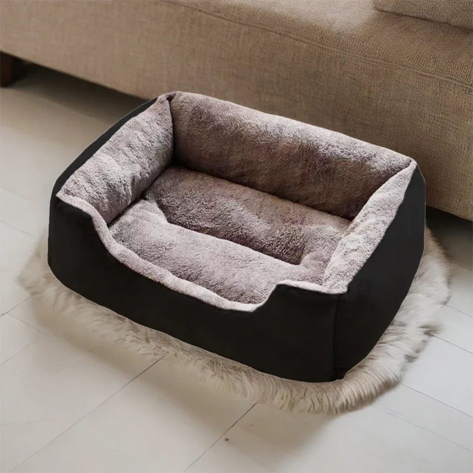 Bed for Cat