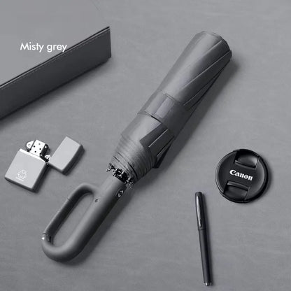 Fully Automatic Umbrella
